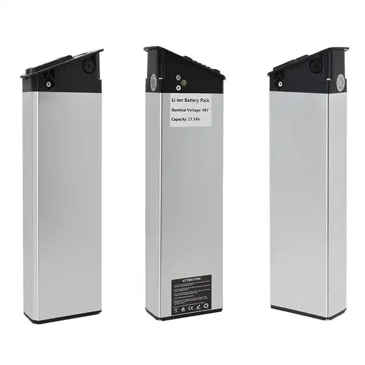 Pin cá bạc chất lượng cao 48V 20ah Lithium Ion E-Bike pin cho 1000W xe đạp điện Ebike Akku