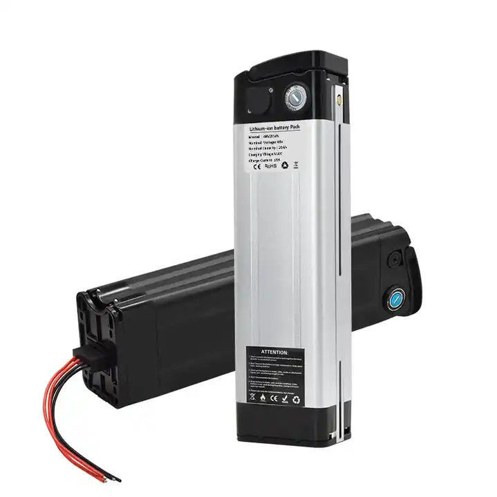 Pin cá bạc chất lượng cao 48V 20ah Lithium Ion E-Bike pin cho 1000W xe đạp điện Ebike Akku