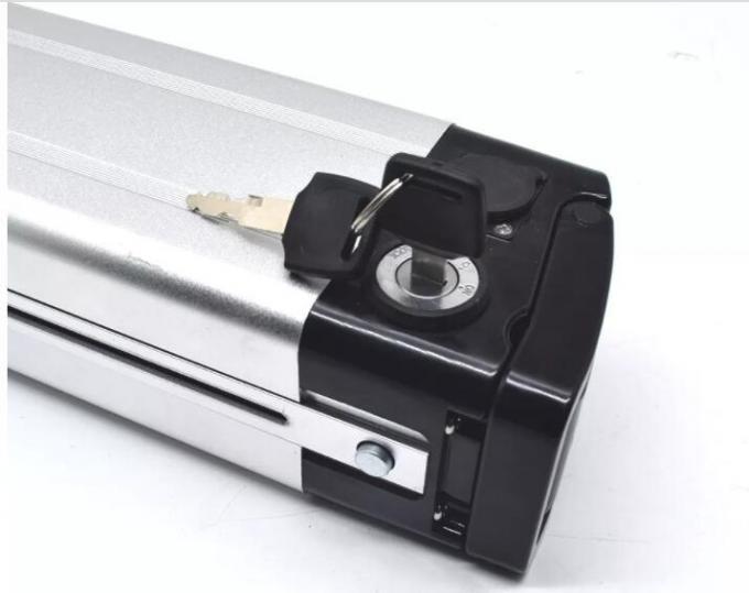 Silver Fish E Bike Battery 1000W 24V 36V 48V 10ah 15ah 20ah E-Scooter Battery Bicycle Battery 18650 Cell Downtube Akku Lithium Ion Battery for Cleaner Power