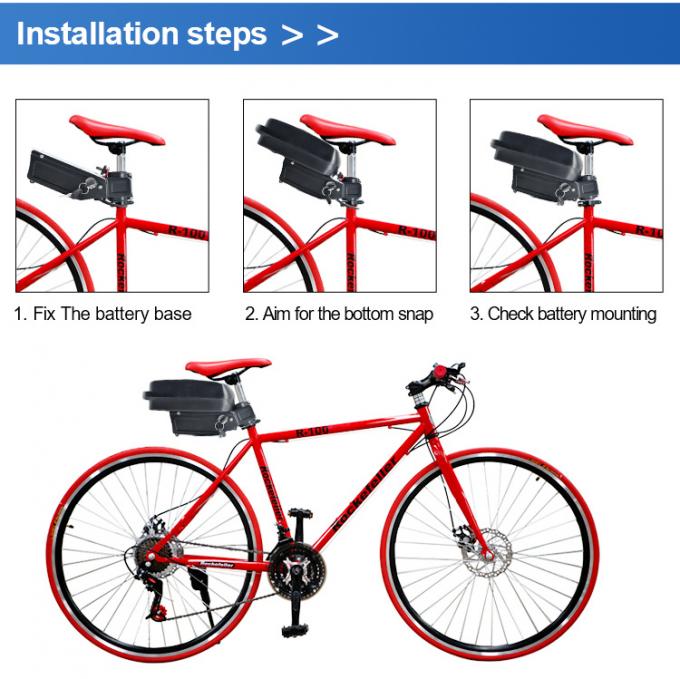 24V 11.6h Viking Cortina E Bike thay pin Lithium-Ion 3